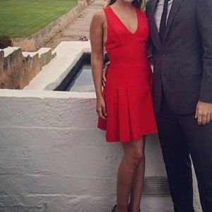 Alice and Olivia Dress